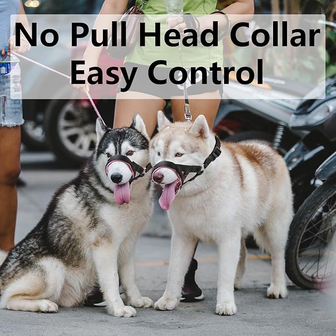 Dog Head Collar, Head Collar with Fabric Padded, Adjustable Training Tool Stop Dog's Pulling (M, Black)