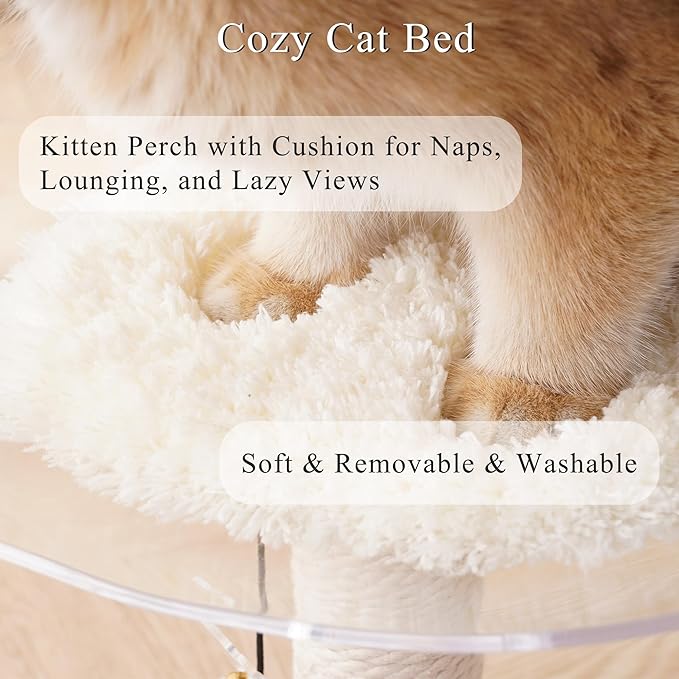 Kicari Modern 3-in-1 Interactive Cat Toy, Puzzle Box Cat Puzzle Toys for Indoor Cats with Bed/Perch, Small Cotton Scratching Posts, Colorful Jingle Balls, Dangling Toy Accent, Acrylic White