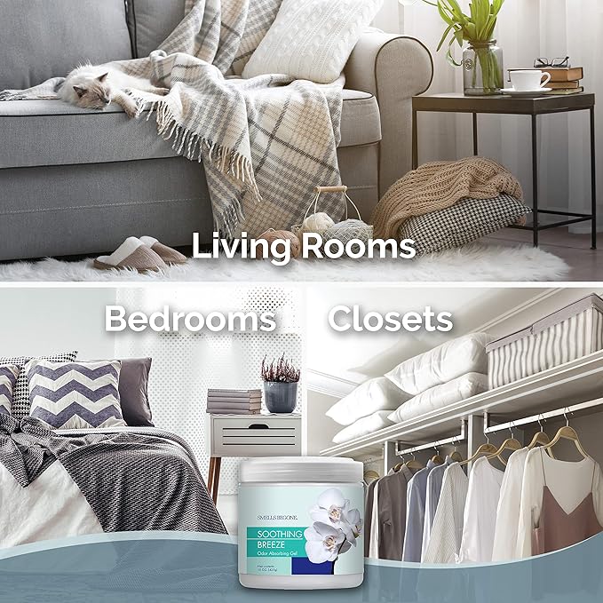 SMELLS BEGONE 15oz Gel Odor Eliminator - Absorb & Remove Tough Odors in Pet Areas, Bathrooms, Basements, Garage, Cars, RVs & Boats - Eliminate Odors Quickly (2-Pack, Soothing Breeze)