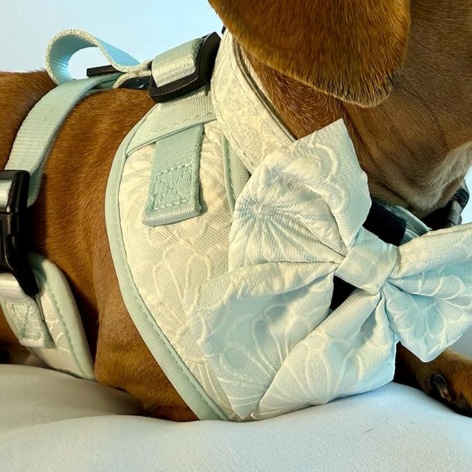 Medium Dog Collar and Harness Set – No Pull, All-Weather, Breathable Harness & Leash Set with Collar, Bandana, Sailor Bow & Poop Bag Holder – Adjustable & Soft - Divine Petals on Jacquard Fabric